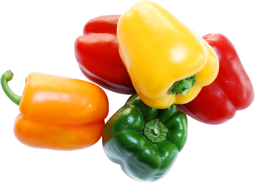 bell pepper transparent png