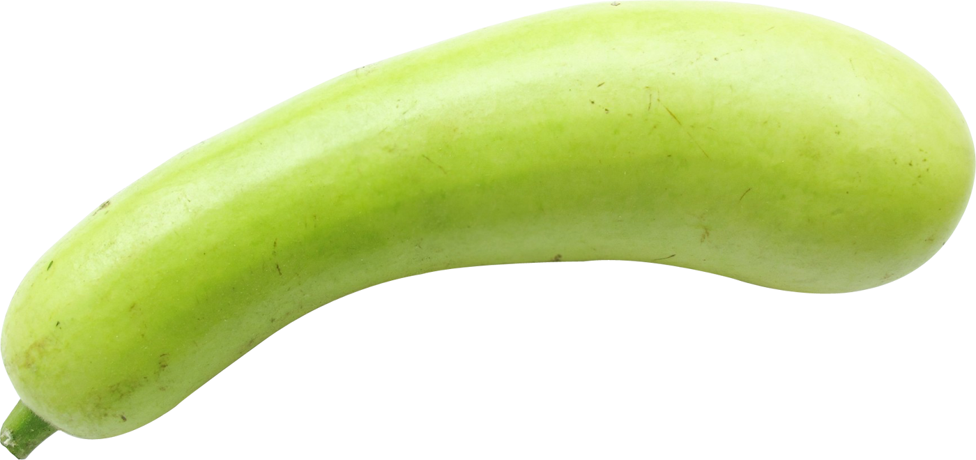 bottle gourd png images