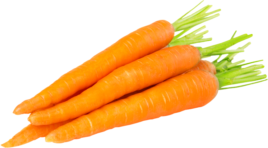 carrot png images