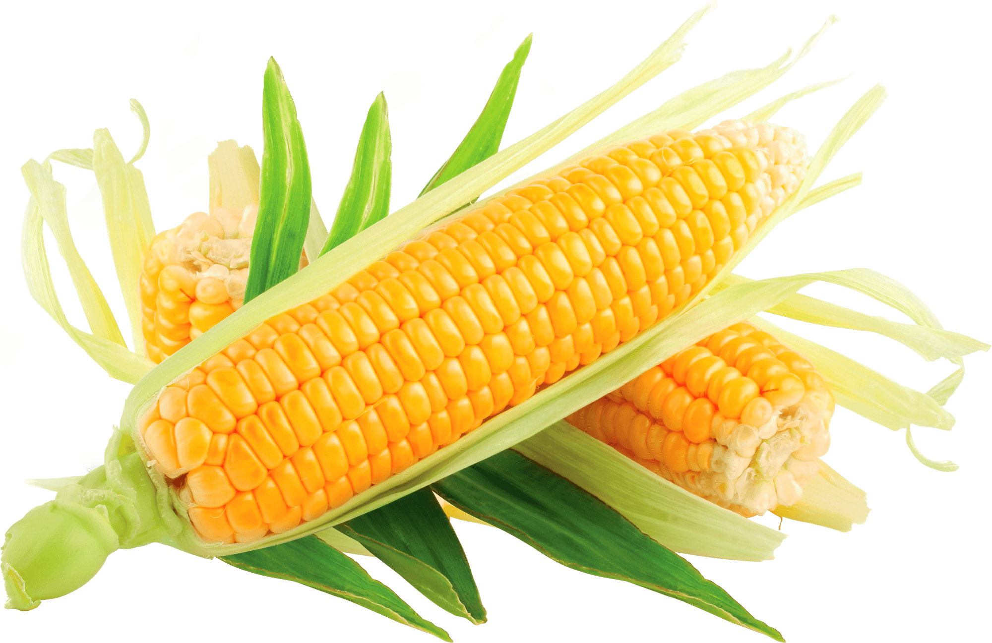sweet corn png images