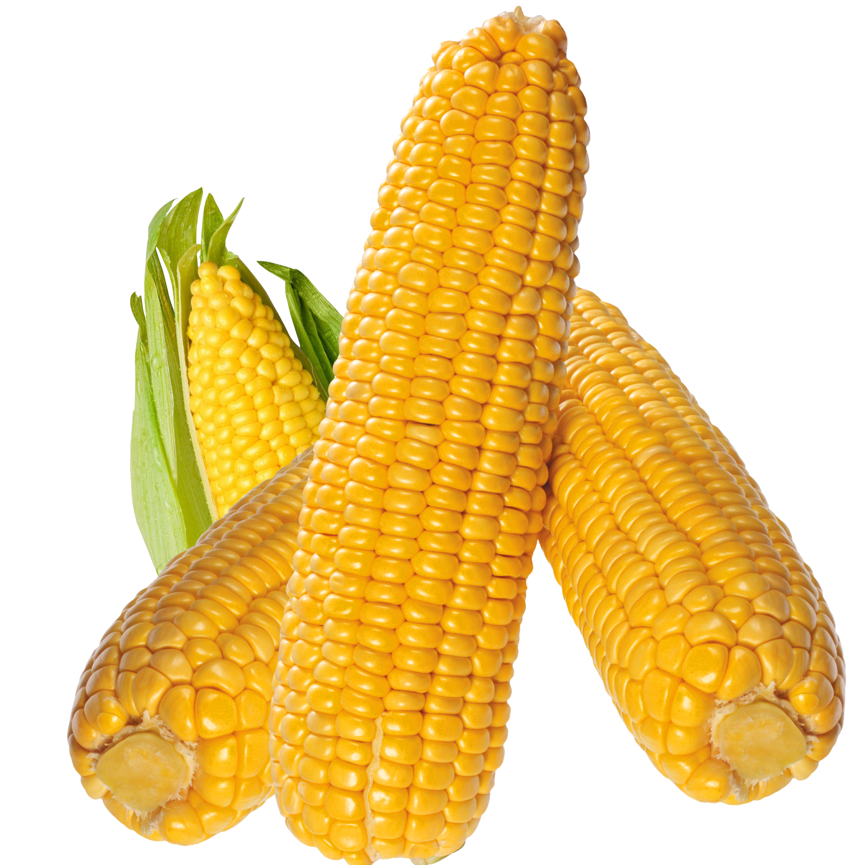 corn vegetables png images