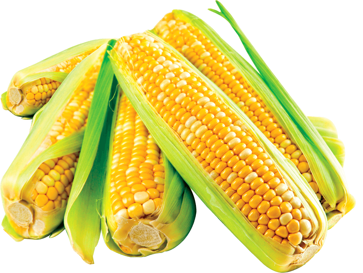 multi corn png images