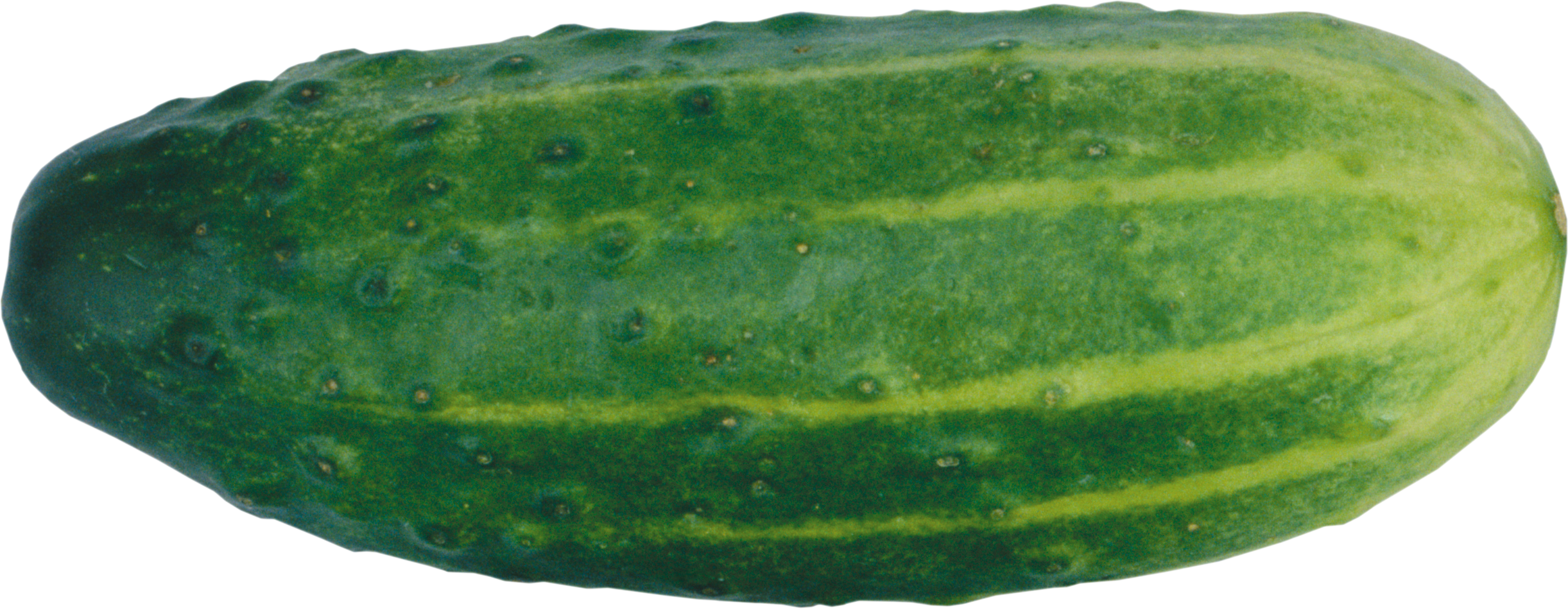 cucumber transparent png
