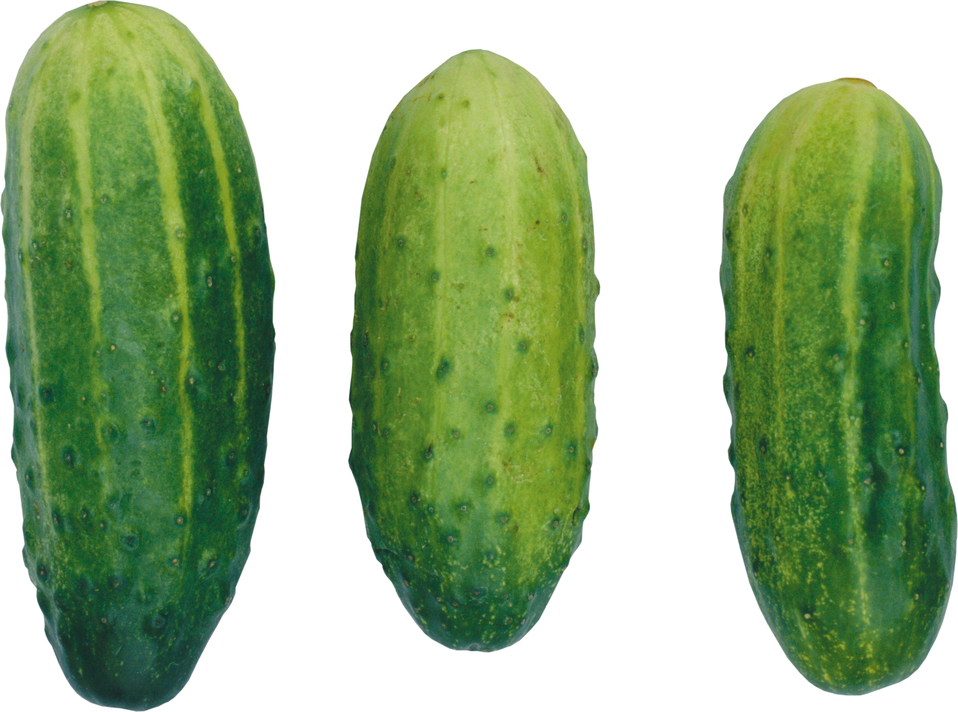 cucumber png images