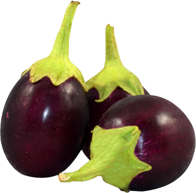 eggplant png images