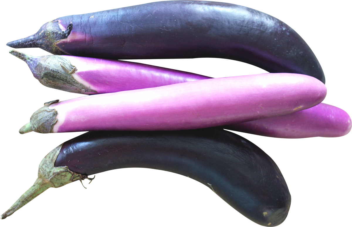 eggplant png images