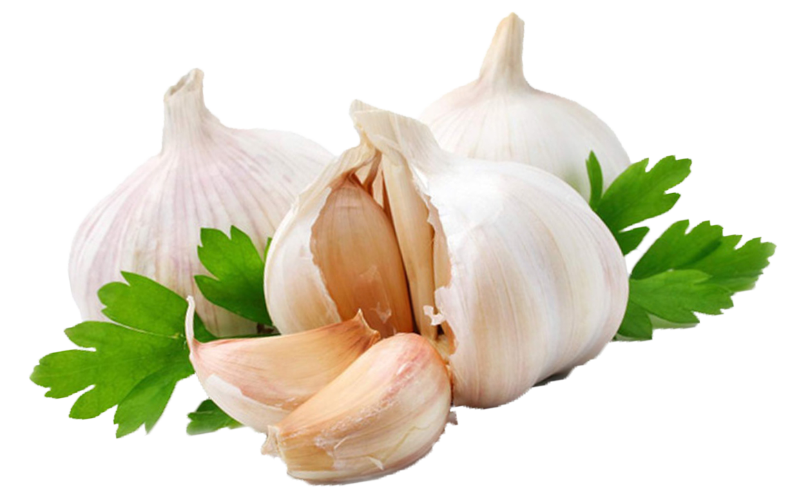 garlic png images