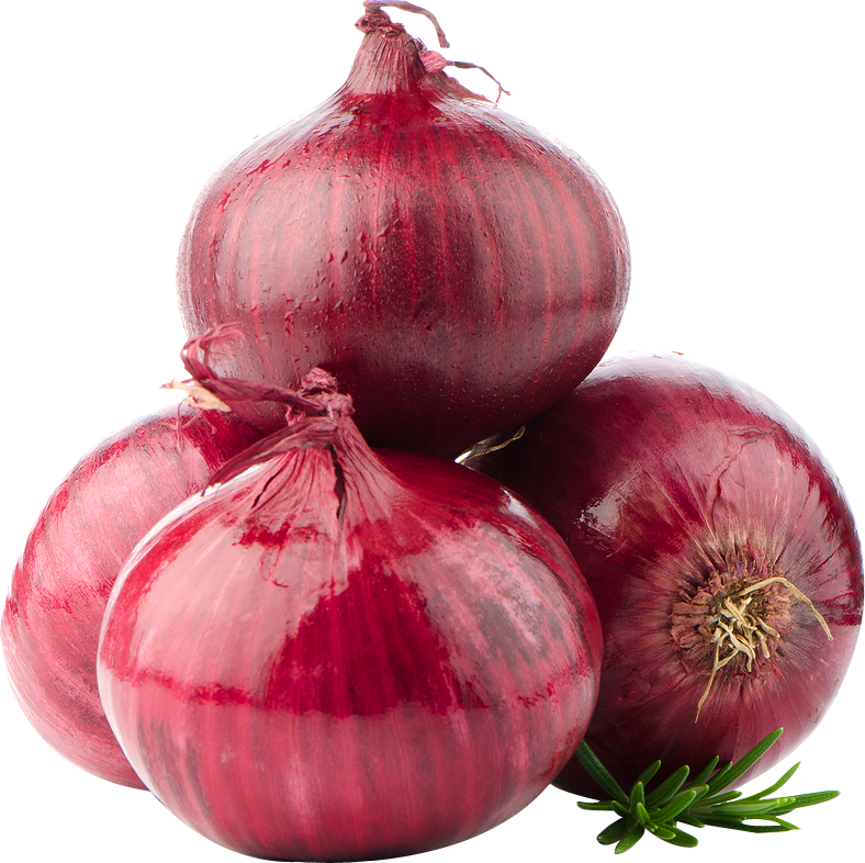 onion png images