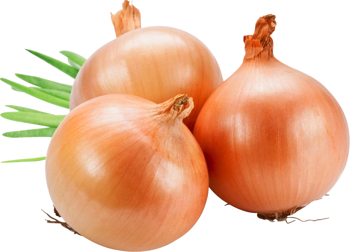 onion png images