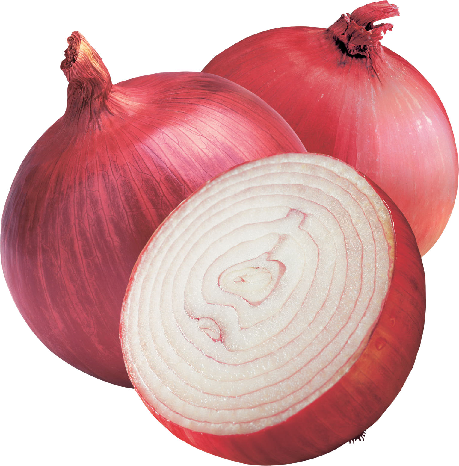 onion slice transparent png
