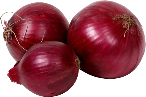 onion png images