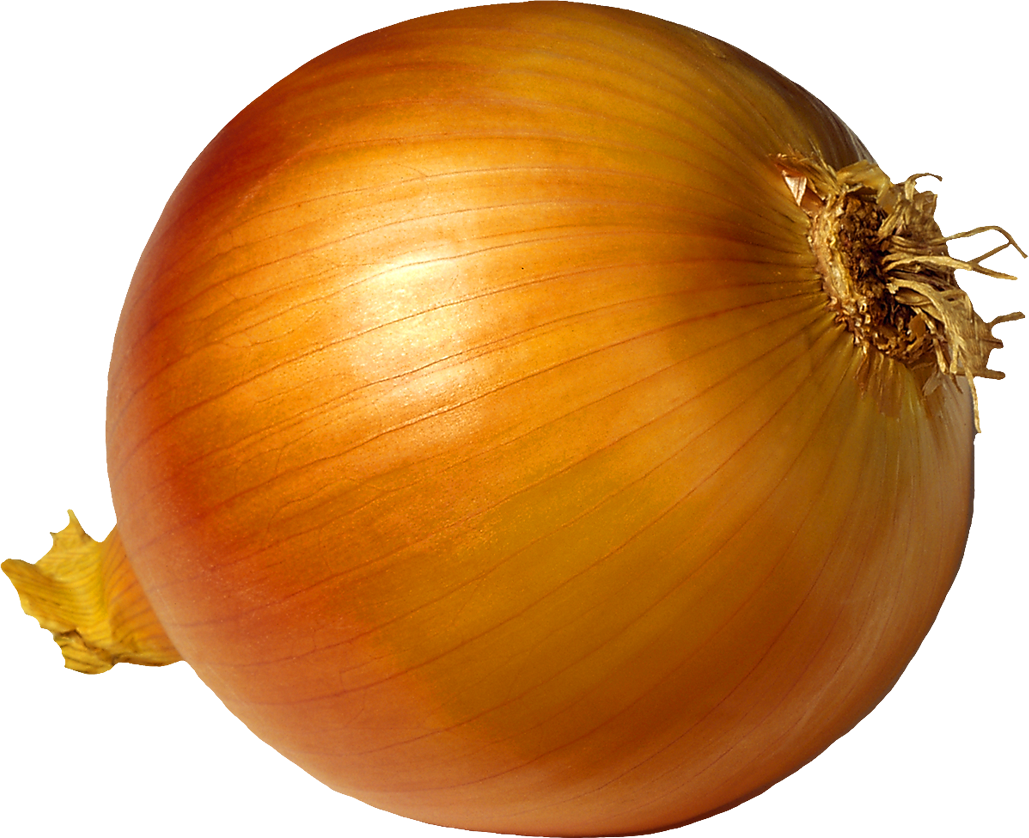 onion high resolution images
