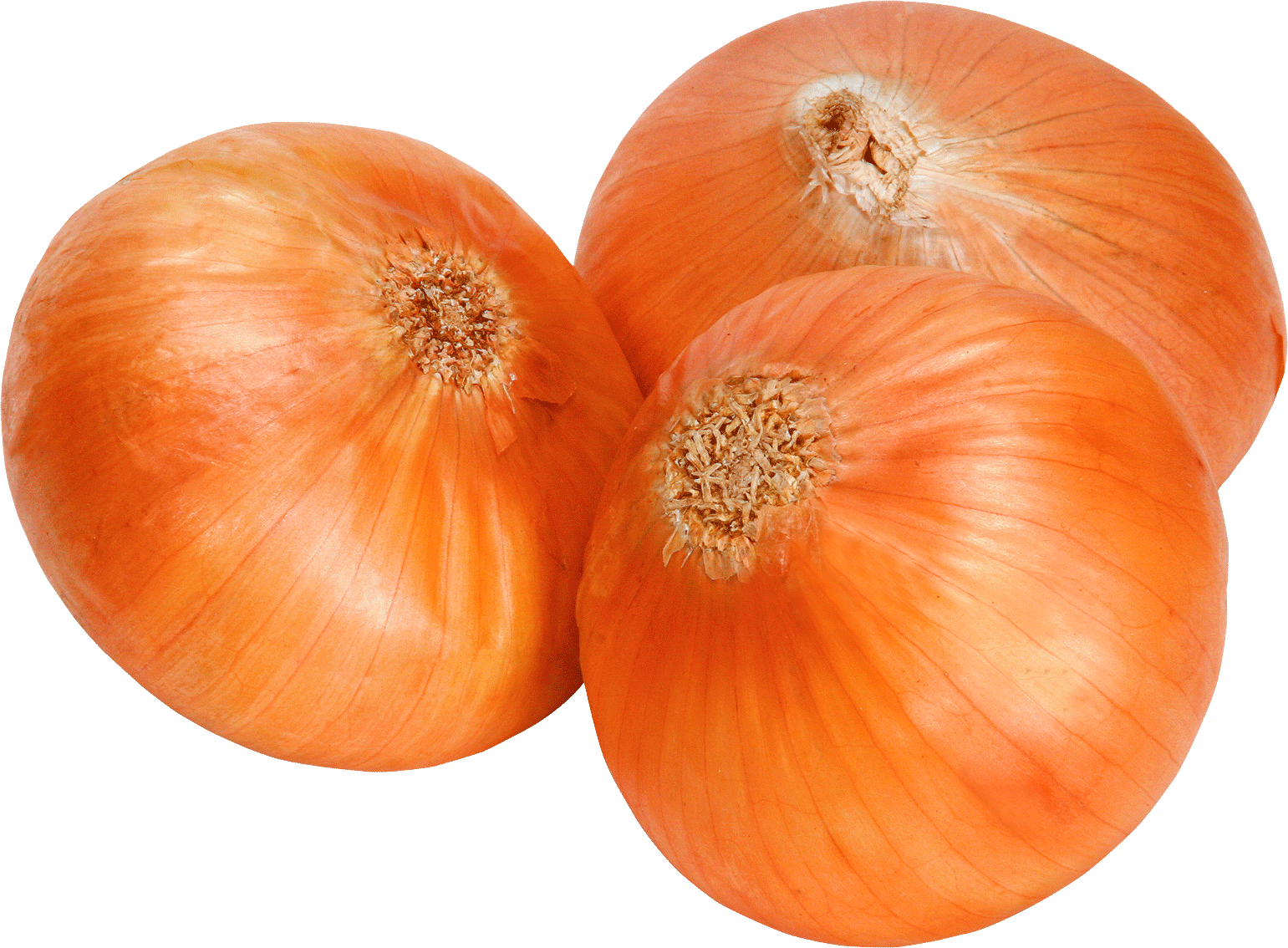 vegetables onion png images