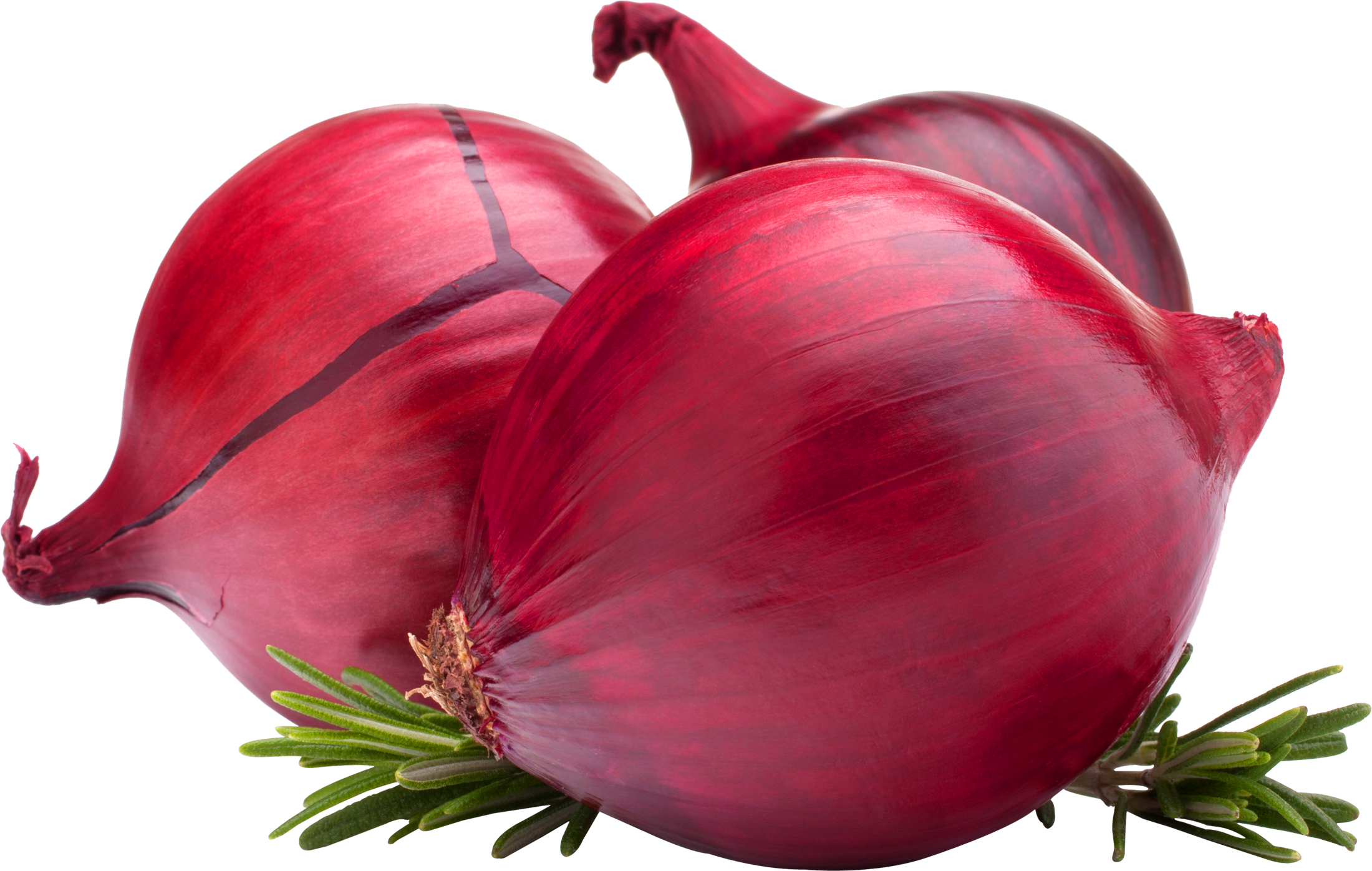 onion transparent png