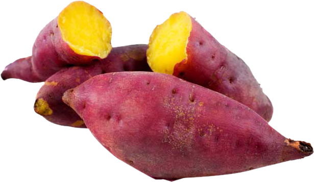 sweet potato png images