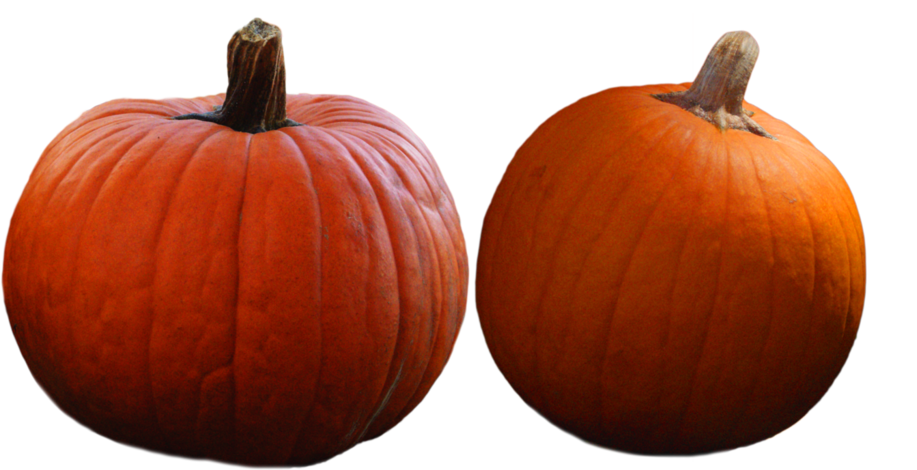 pumpkin png images