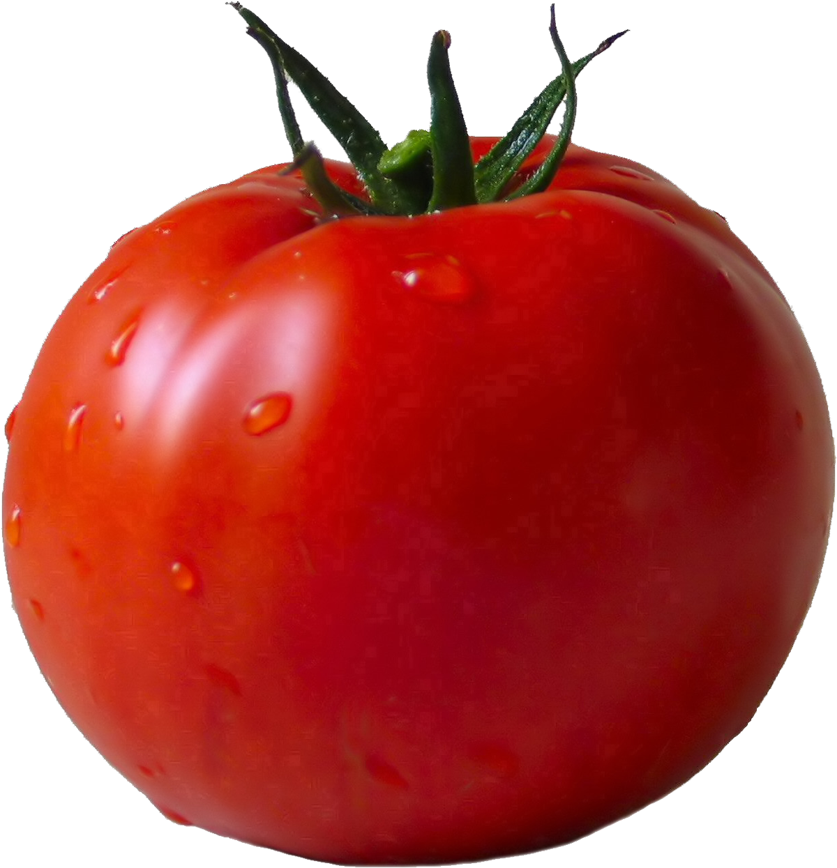 tomato png images