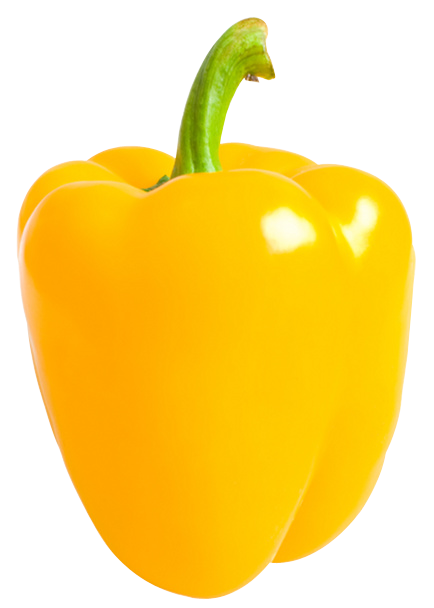 yellow capsicum png images