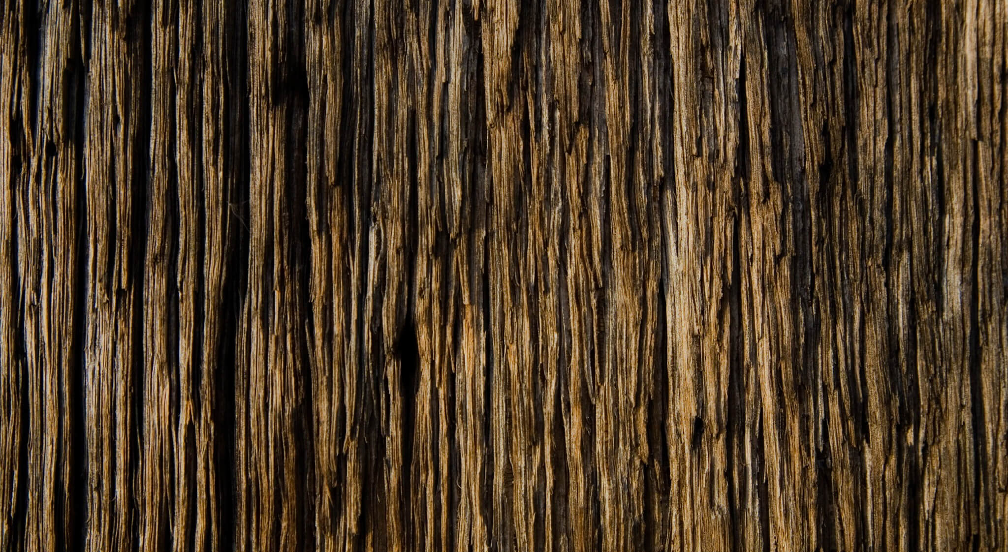 backgrounds free download